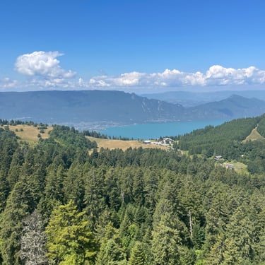 photo avis client Claudia Ô Miracle Traiteur végétal végétarien