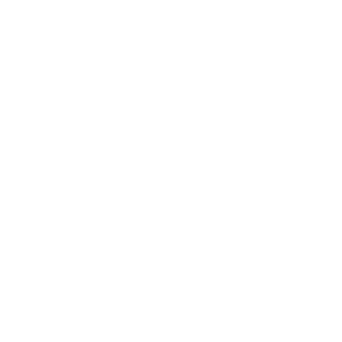icone téléphone