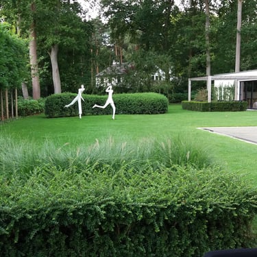 tuin met overloopzwembad
