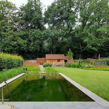 Zwemvijver met plantenfilter