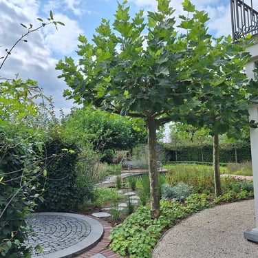 Villatuin met natuurlijke beplanting