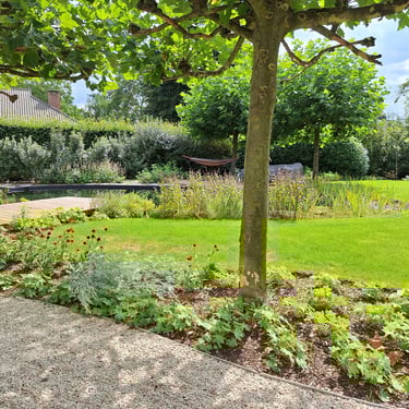 Dakbomen met ruime borders