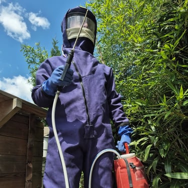 professionnel frelon à Bruges
