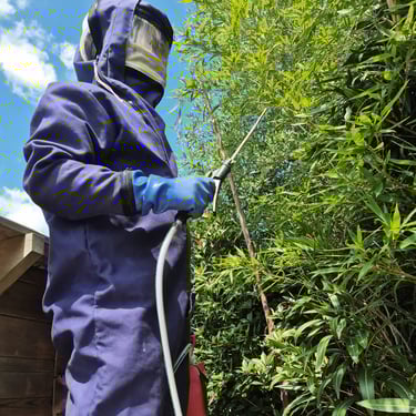 Pro destruction nid de guêpe et frelons