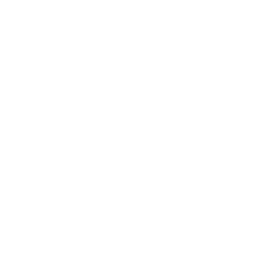 icona drone