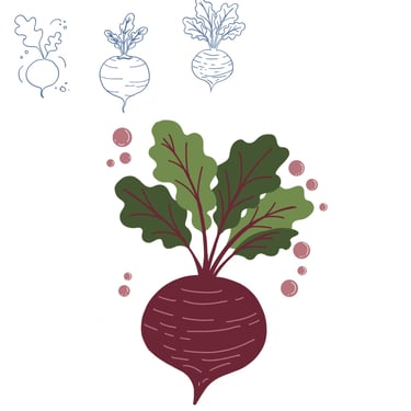 Esboços iniciais para desenvolvimento de ilustração de rótulo artesanal.