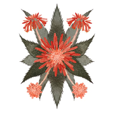 Ilustração botânica de aloé vera em flor para marcas, produtos e projetos inspirados na natureza