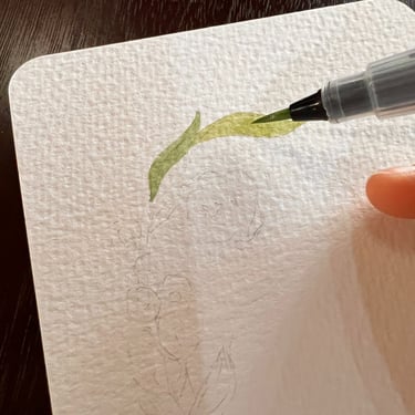 Início de uma ilustração botânica em aguarela durante uma sessão Botanical Art Breakfast