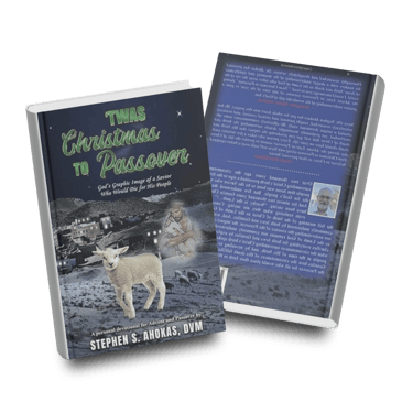 "Twas Christmas to Passover Book showing front and back covers sample.