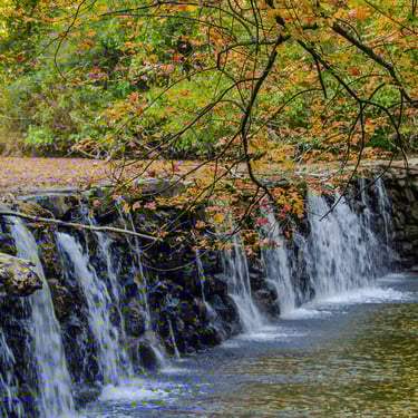 broad, and short waterfall at the dam of Ridley Creek State park, in the fall.