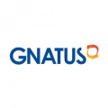 gnatus