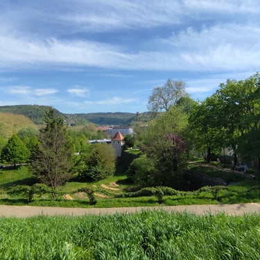 VTC et taxi pour visiter les parcs