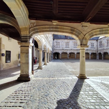 VTC et taxi pour vos visites aux musées