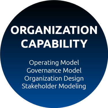 Social Impact Organization Capability