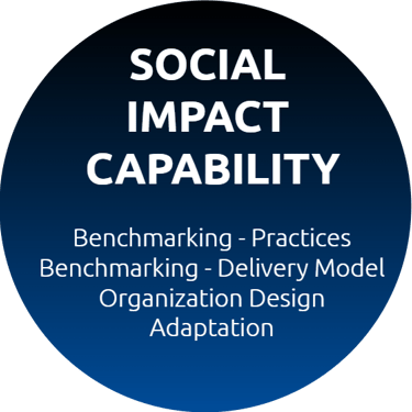 Social Impact Capability