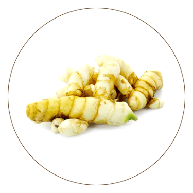 Haridra (Curcuma Longa)