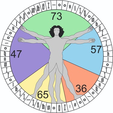 Hombre de Vitruvio sobre los elementos