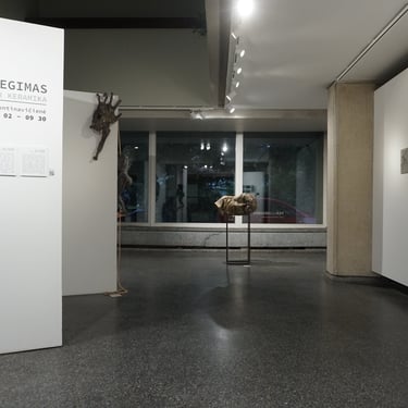 Eglė Valentinavičienė Paroda Perdegimas Galerija 5 Malūnai