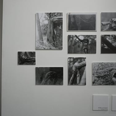 Analoginės fotografijos ciklas baubai 