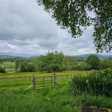 View from Twr-Ffoledd holiday let. Dog friendly.