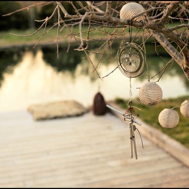 carillon bassin naturel, terrasse bois