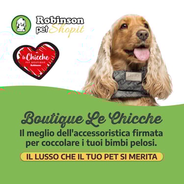 Donna in sedia a rotelle sulla spiaggia, accompagnata, mentre tocca l’acqua del mare