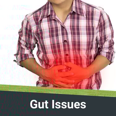 Visual representation of gut issues or GI conditions