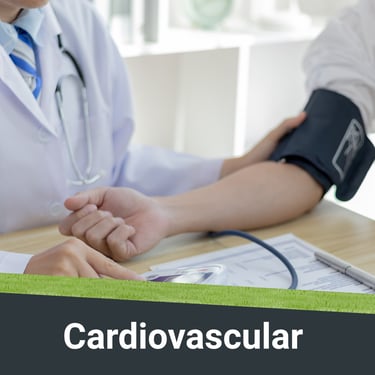 Visual representation of Cardiovascular Conditions