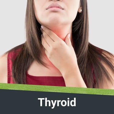 Visual representation of Thyroid Conditions