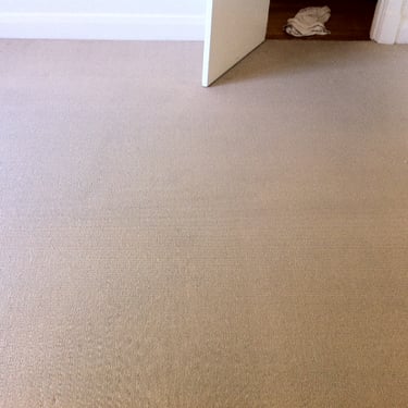 previoulsy heavily soiled brown carpet of an empty room now clean after professional carpet cleaning