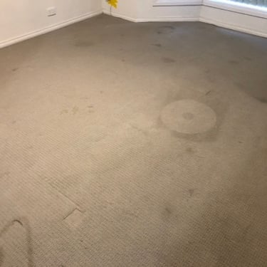 dirty brown carpet before professional carpet cleaning in nairne, south australia