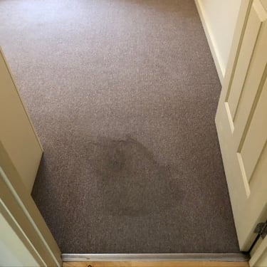 stain on grey carpet by the door