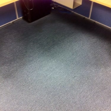 clean carpet under office desk after professional carpet cleaning