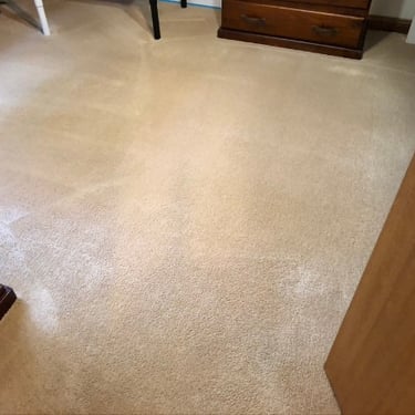 drink spill removed by professional carpet cleaning expert in mount barker, south australia