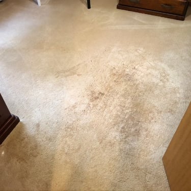beige carpet stained with drink spill prior to professional carpet cleaning 