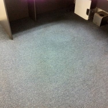 office carpet professionally cleaned by carpet cleaner