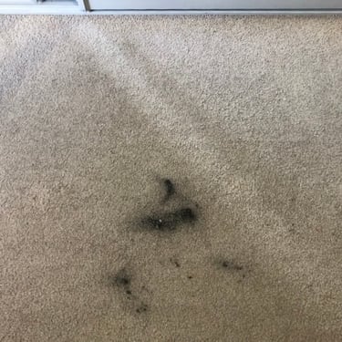 light grey carpet stained with ink marks