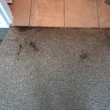closed up of grey carpet with some oily stains