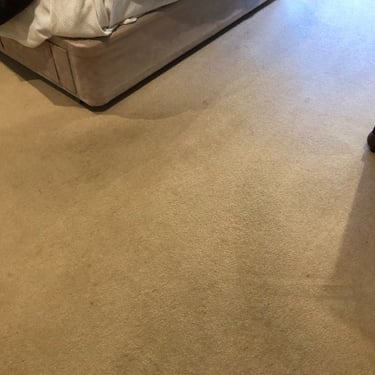 dirty brown carpet ready for carpet cleaning
