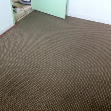 previously heavy soiled carpet now cleaned after expert carpet cleaning