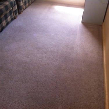 light grey carpet steam cleaned