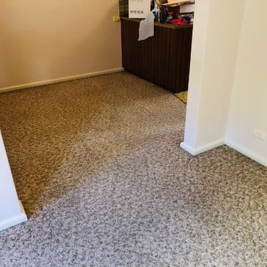 bourbon carpet cleaned by carpet cleaner