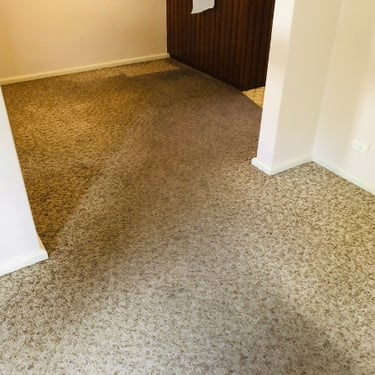 heavily soiled bourbon beige carpet before carpet cleaning