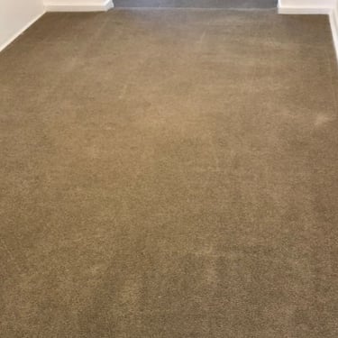 carpet professionally cleaned from stick marks