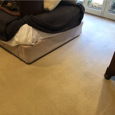 brown carpet cleaned after professional cleaning