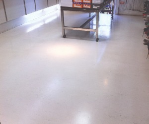 shiny retail vinyl floor shop after professional vinyl strip and seal restoration
