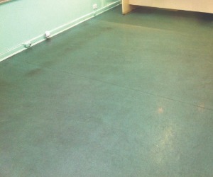 green vinyl floor in the adelaide south before professional vinyl strip and seal service