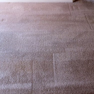 carpet previously stained with watermarks now cleaned after professional carpet cleaning service