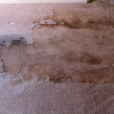 carpet with deep watermarks