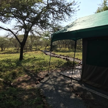 Owner run and intimate accommodation at Albizia self catering tented camp in Hluhluwe